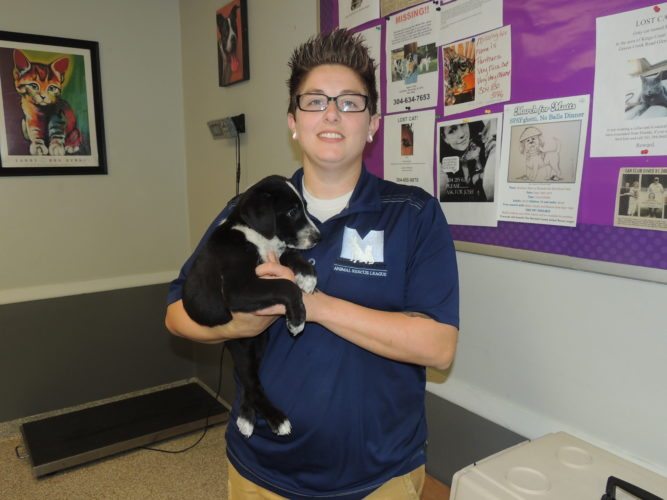 ‘March for Mutts’ To Benefit Marshall County Shelter, Clinic in